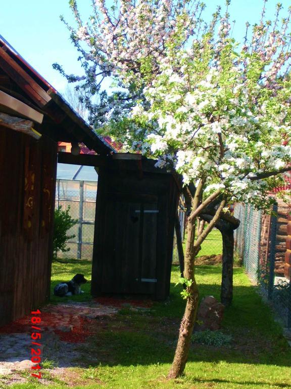 Sedliacka Drevenica Villa Liptovská Osada Eksteriør billede